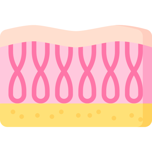 collagen (3)