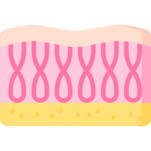 Collagen skin icon